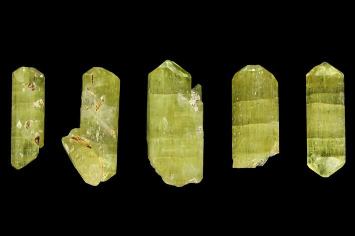 Five Yellow Apatite Crystals (over ) - Morocco #143083
